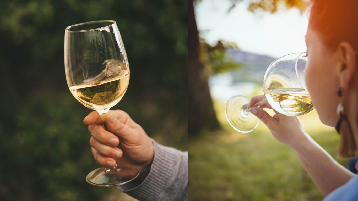 Why Popularity of White Wine Is Increasing Day by Day